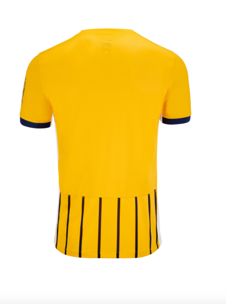 CAMISETA BRIGHTON SEGUNDA 24/25