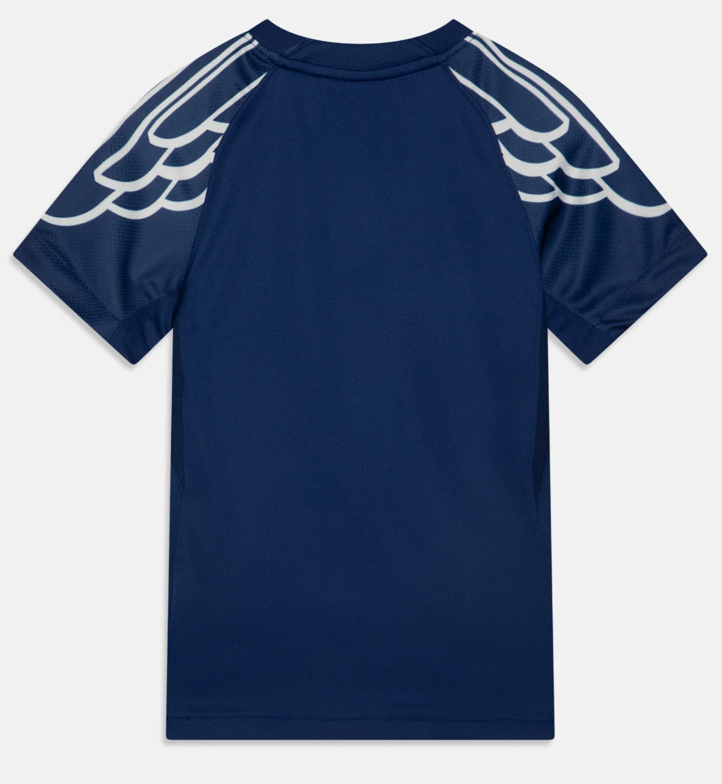 CAMISETA PSG CUARTA 24/25